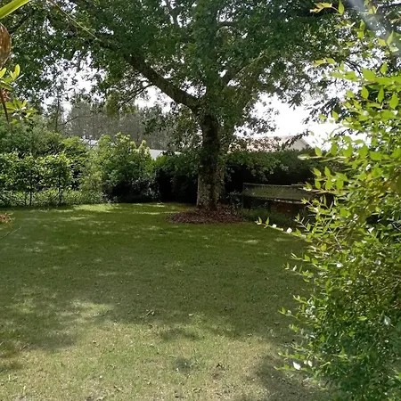 T1 Avec Jardin * Léon