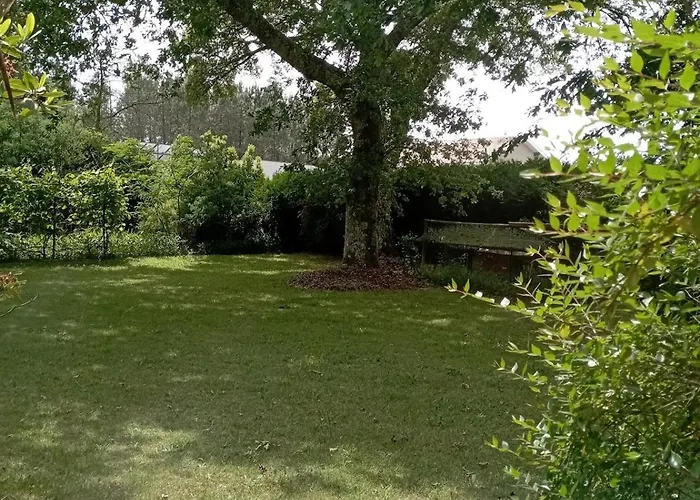 T1 Avec Jardin * 莱昂