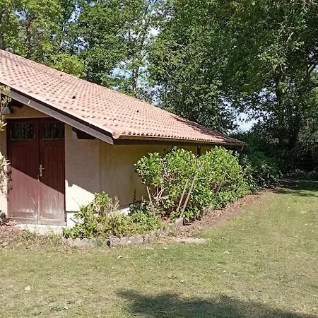 Διαμέρισμα T1 Avec Jardin Léon